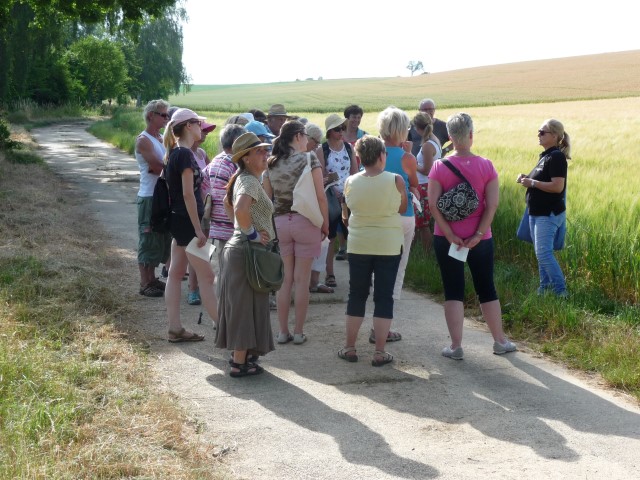 Die Kräuterwanderung